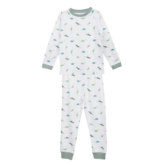 New Dinosaur Organic Cotton Long Sleeve PJ set Sz 4-5 yrs 🦕 - Picture 1 of 5